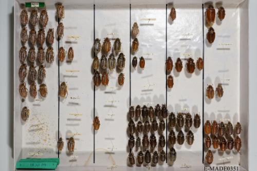 © Landessammlungen NÖ, Foto: Johann Nesweda