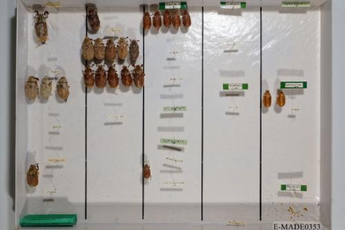 © Landessammlungen NÖ, Foto: Johann Nesweda