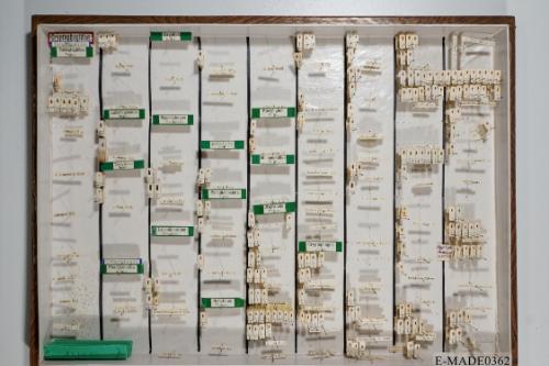 © Landessammlungen NÖ, Foto: Johann Nesweda