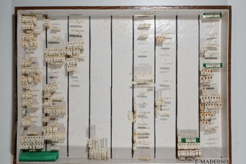 © Landessammlungen NÖ, Foto: Johann Nesweda