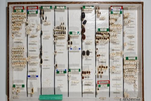 © Landessammlungen NÖ, Foto: Johann Nesweda