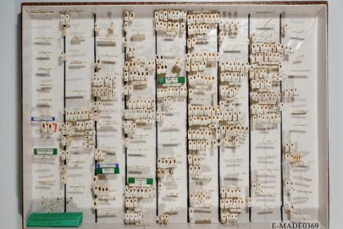 © Landessammlungen NÖ, Foto: Johann Nesweda