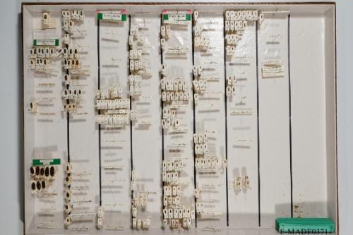 © Landessammlungen NÖ, Foto: Johann Nesweda