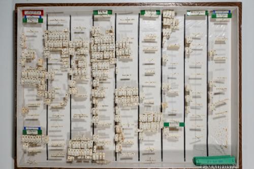 © Landessammlungen NÖ, Foto: Johann Nesweda