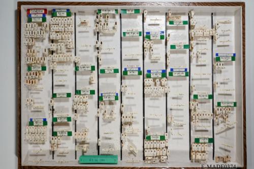 © Landessammlungen NÖ, Foto: Johann Nesweda