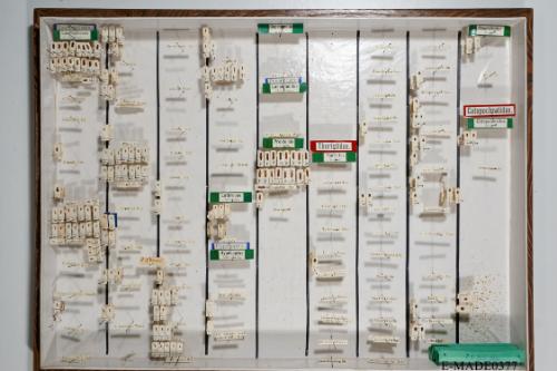 © Landessammlungen NÖ, Foto: Johann Nesweda