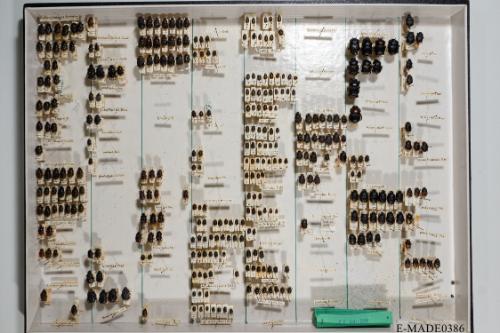 © Landessammlungen NÖ, Foto: Johann Nesweda