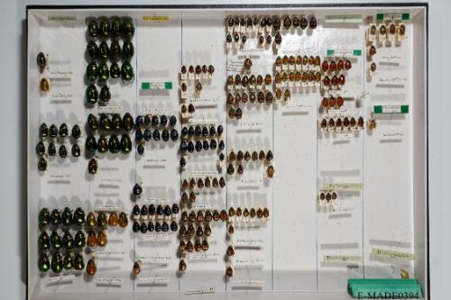 © Landessammlungen NÖ, Foto: Johann Nesweda