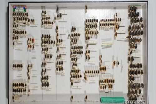 © Landessammlungen NÖ, Foto: Johann Nesweda