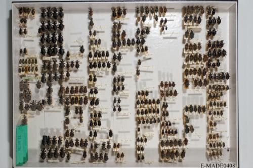 © Landessammlungen NÖ, Foto: Johann Nesweda