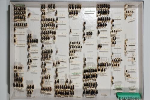 © Landessammlungen NÖ, Foto: Johann Nesweda