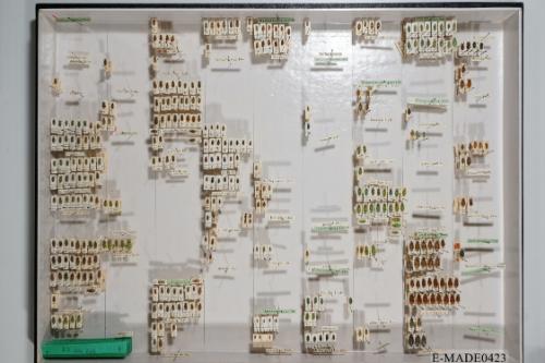 © Landessammlungen NÖ, Foto: Johann Nesweda