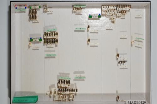 © Landessammlungen NÖ, Foto: Johann Nesweda