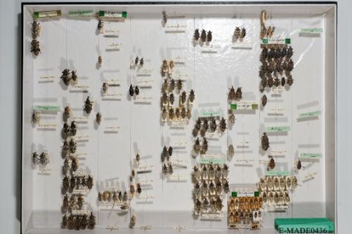 © Landessammlungen NÖ, Foto: Johann Nesweda