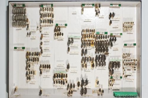 © Landessammlungen NÖ, Foto: Johann Nesweda