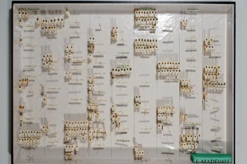 © Landessammlungen NÖ, Foto: Johann Nesweda