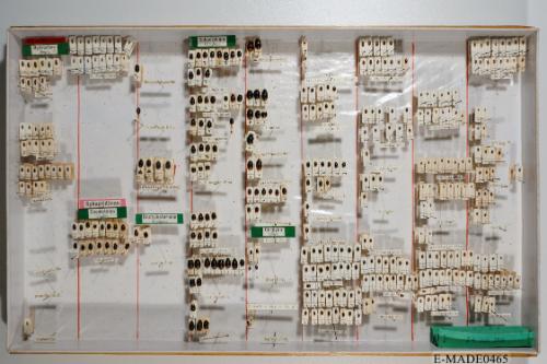 © Landessammlungen NÖ, Foto: Johann Nesweda