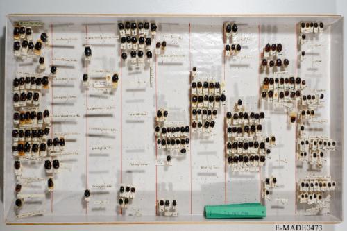 © Landessammlungen NÖ, Foto: Johann Nesweda