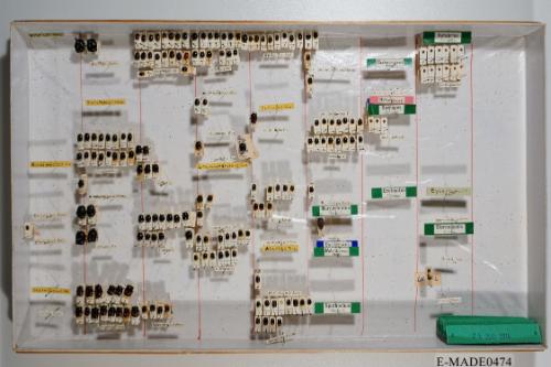 © Landessammlungen NÖ, Foto: Johann Nesweda