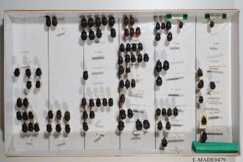 © Landessammlungen NÖ, Foto: Johann Nesweda