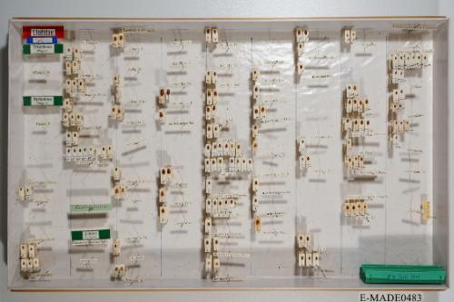 © Landessammlungen NÖ, Foto: Johann Nesweda