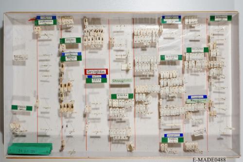 © Landessammlungen NÖ, Foto: Johann Nesweda