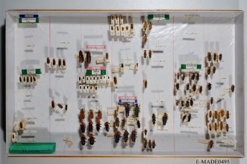 © Landessammlungen NÖ, Foto: Johann Nesweda