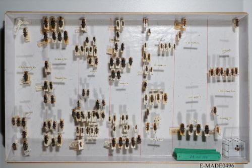 © Landessammlungen NÖ, Foto: Johann Nesweda