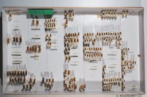 © Landessammlungen NÖ, Foto: Johann Nesweda