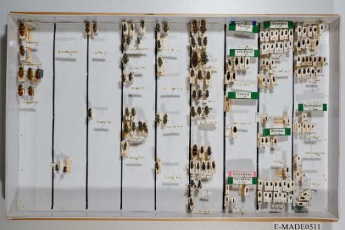 © Landessammlungen NÖ, Foto: Johann Nesweda