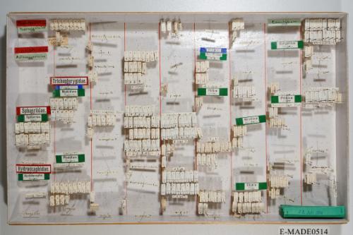 © Landessammlungen NÖ, Foto: Johann Nesweda