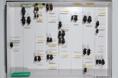 © Landessammlungen NÖ, Foto: Johann Nesweda