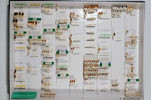 © Landessammlungen NÖ, Foto: Johann Nesweda