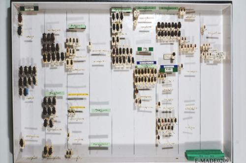 © Landessammlungen NÖ, Foto: Johann Nesweda