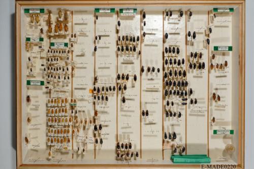 © Landessammlungen NÖ, Foto: Johann Nesweda