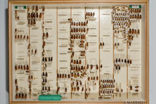 © Landessammlungen NÖ, Foto: Johann Nesweda