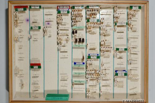 © Landessammlungen NÖ, Foto: Johann Nesweda