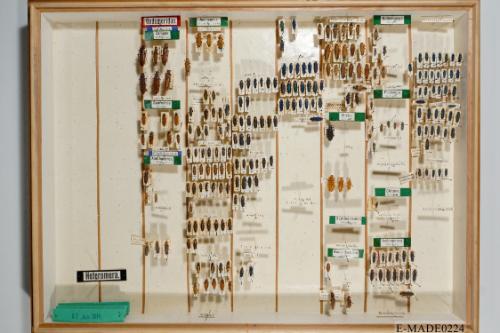 © Landessammlungen NÖ, Foto: Johann Nesweda