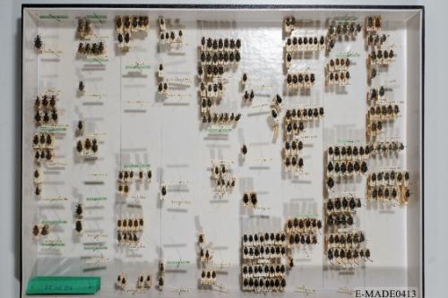 © Landessammlungen NÖ, Foto: Johann Nesweda