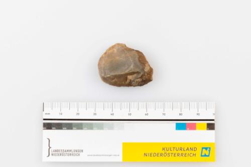 © Landessammlungen Niederösterreich
