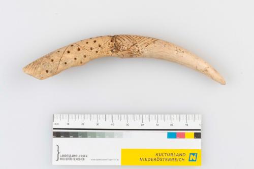 © Landessammlungen Niederösterreich