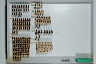 Insektenlade