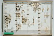 Insektenlade