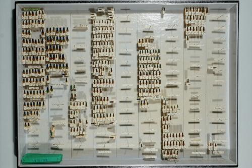 Insektenlade