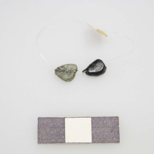 Landessammlungen Niederösterreich