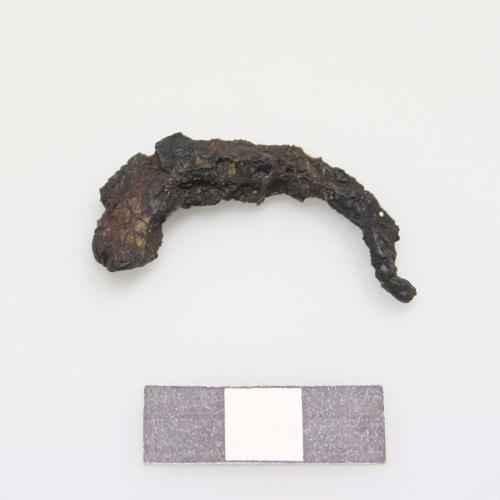 Landessammlungen Niederösterreich