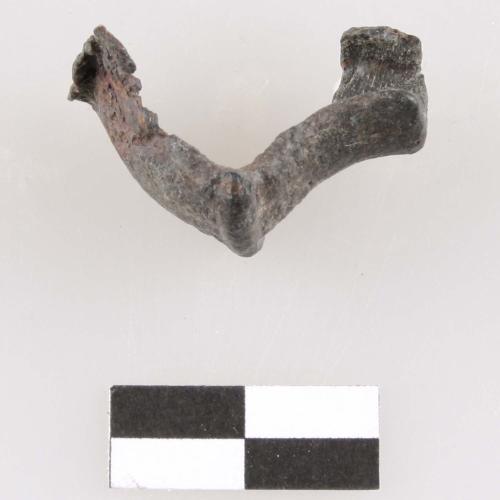 Landessammlungen Niederösterreich