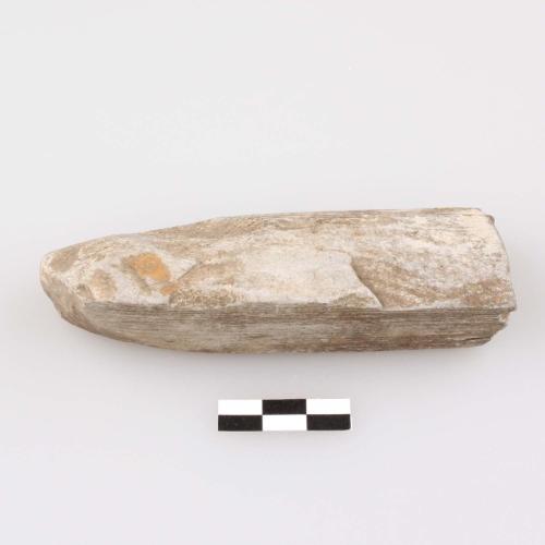 Landessammlungen Niederösterreich